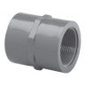 1 1/2" SOCKET x FIPT SCH 80 FEMALE ADAPTER