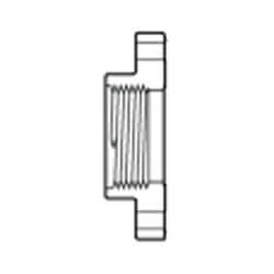 1" CPVC FIPT SCH 80 ONE PIECE FLANGE