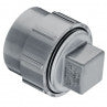2" CPVC L/W C/O ADAPTER SPIGOTXFPT W/PLUG