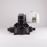 Tortuga Sewage Transfer Pump (Without Motor)